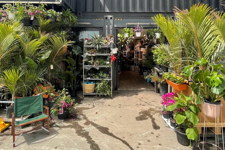 outdoor plant store
