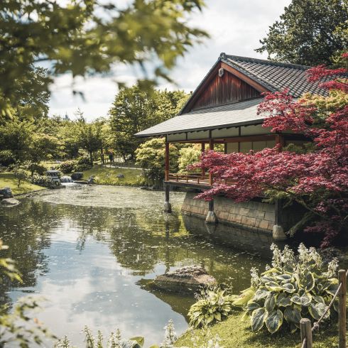 A picturesque Japanese garden