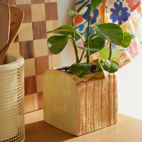 A shot of a bread loaf shaped planter with greenery growing out of it on a kitchen counter