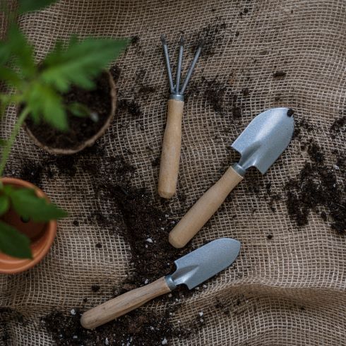 Gardening tools and potted plants