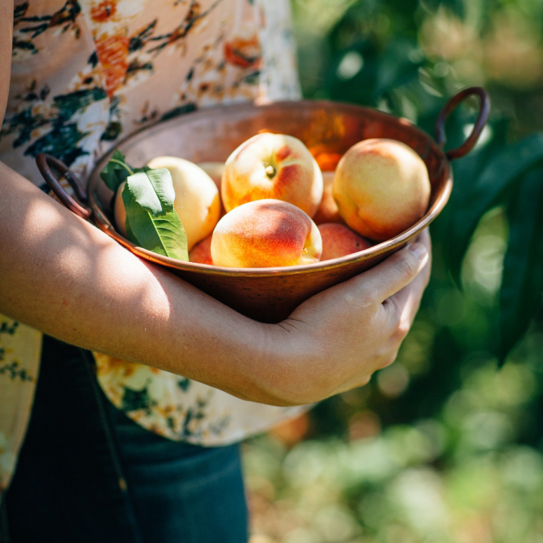 Person holding basket of peaches