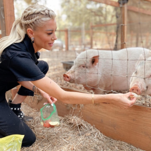Heather caring for pigs