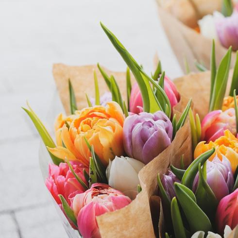Bright spring tulips