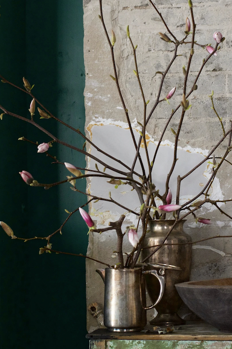 Magnolia branches in two antique brass vases against a brick and green wall designed by Cynthia Zamaria