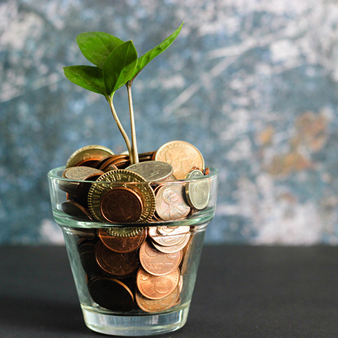 A plant sprouting from a clear pot filled with coins.