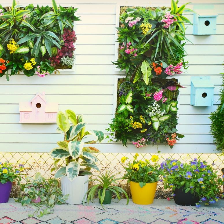 Outdoor vertical garden DIY project with birdhouses