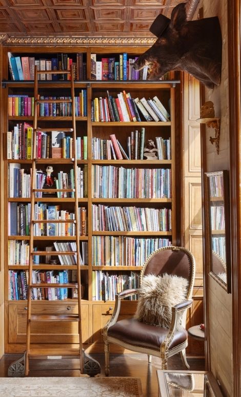 Vintage library with stacks of books, a chair, and a mounted animal head.