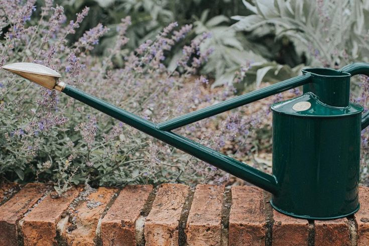 modern green watering can with long spout sitting on brick ledge