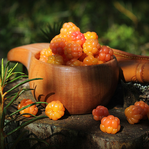 picked cloudberries – yellow and orange, shaped a bit like a raspberry – in a wooden bowl.