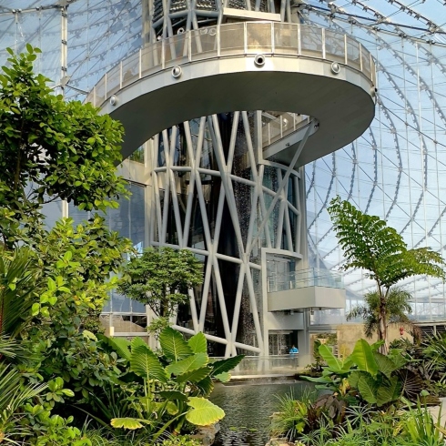A biome inside The Leaf at Assiniboine Park, with an observation tower and lush foliage