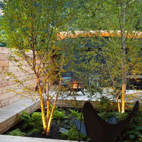 Cedar deck with trees