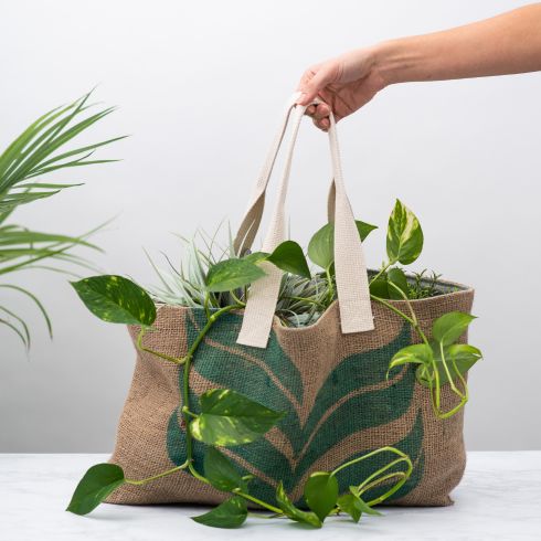 A bag filled with plants.