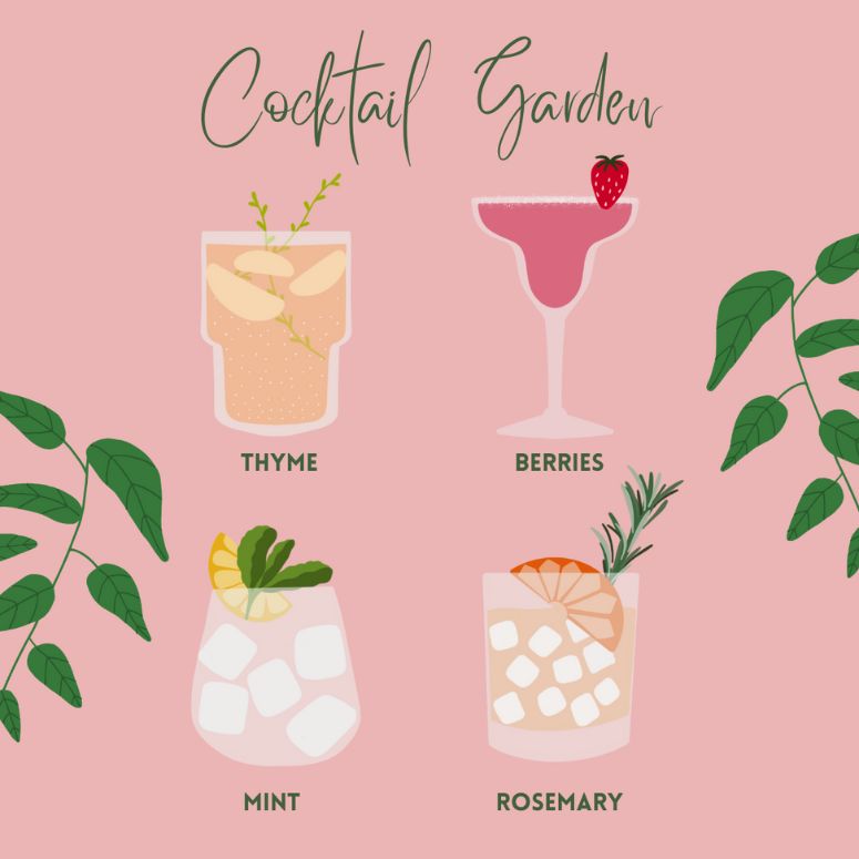 cocktail garden illustration