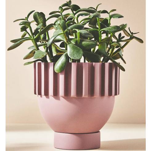 A modern pink planter with a funky shape