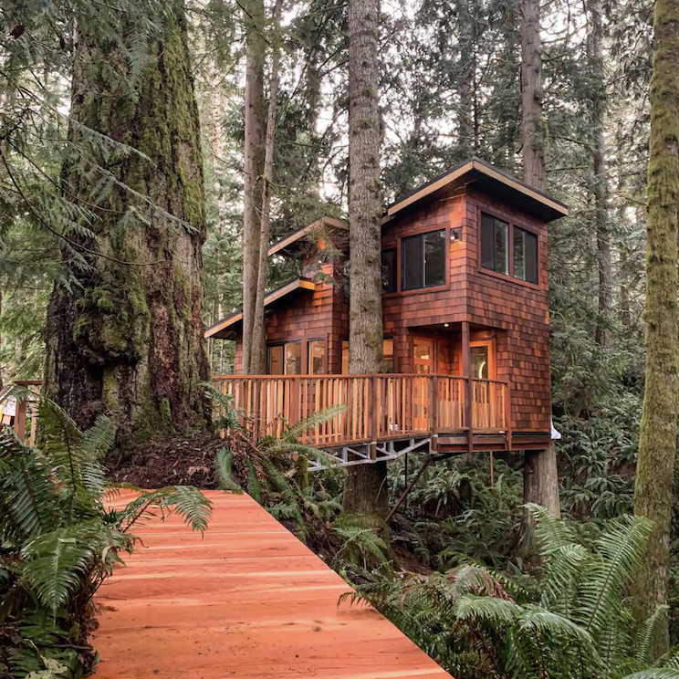 Treehouse on Airbnb