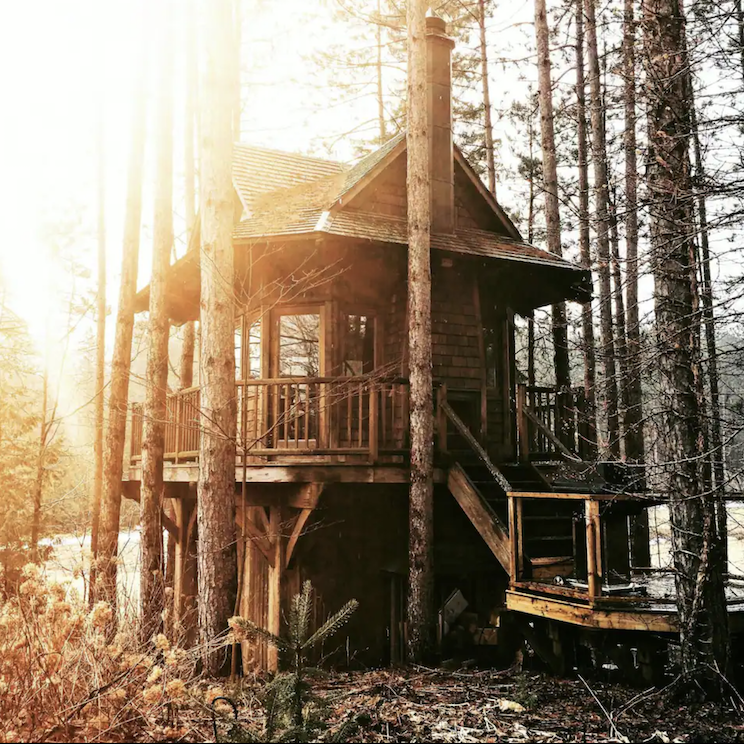 Treehouse property for rent