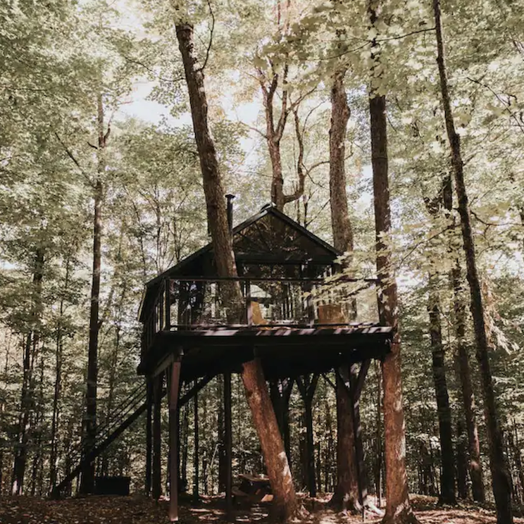 Treehouse for rent