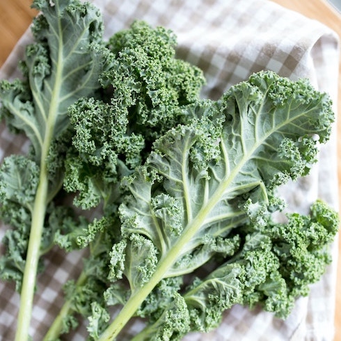 Several green kale leaves on top of a check-print cloth