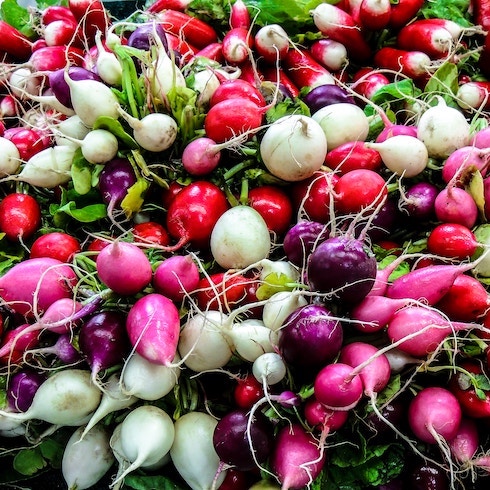 A pile of colourful red, white, pink and purple radishes