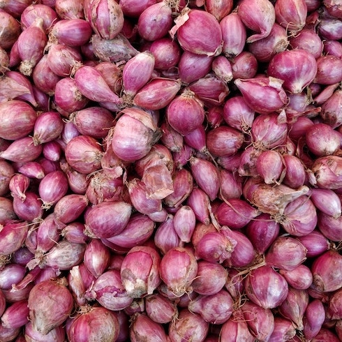 A pile of purple shallots