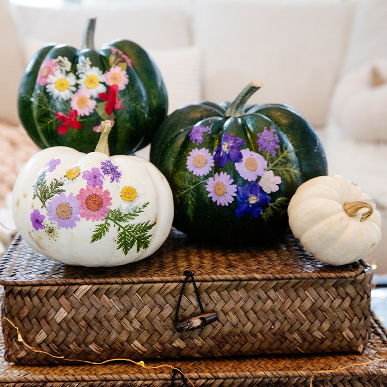 Flower pressed pumpkins