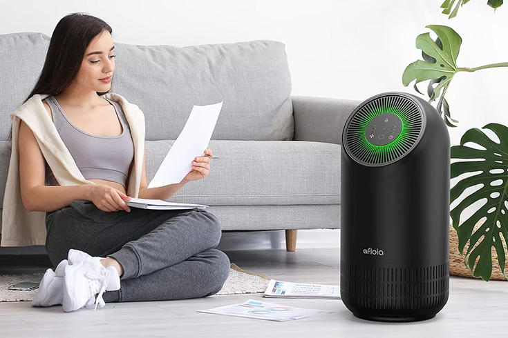 Air Purifiers For Home Large Room