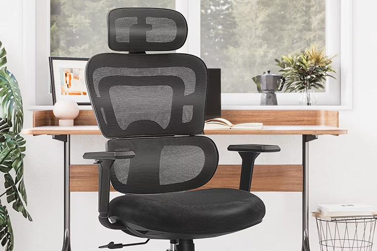 FlexiKing Home Office Desk Chair