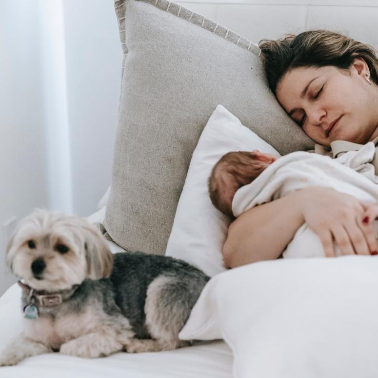 Mom holding baby in bed while dog snuggles beside them