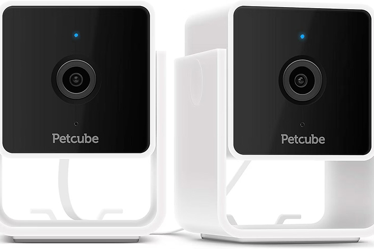 Petcube Pack of 2 Cam indoor Wi-Fi Pet and Security Camera