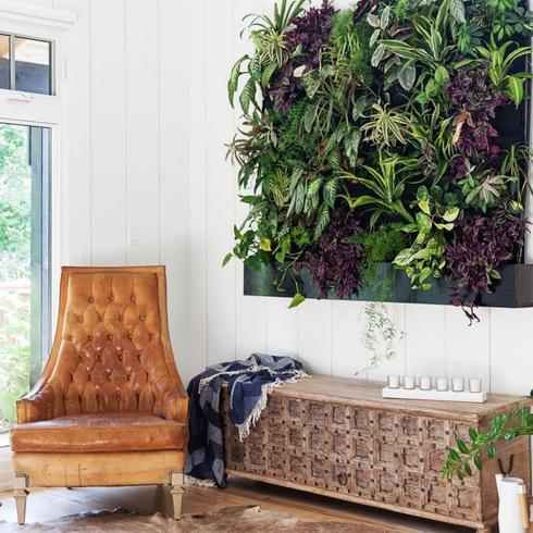 A living plant wall above a low cabinet and an armchair to the left.
