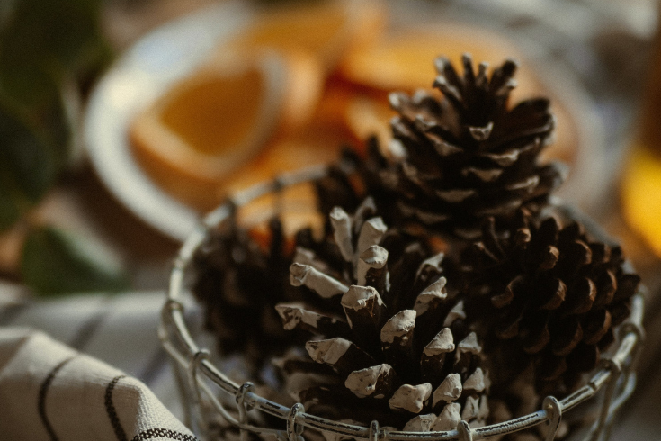 Pinecones in bowl on table