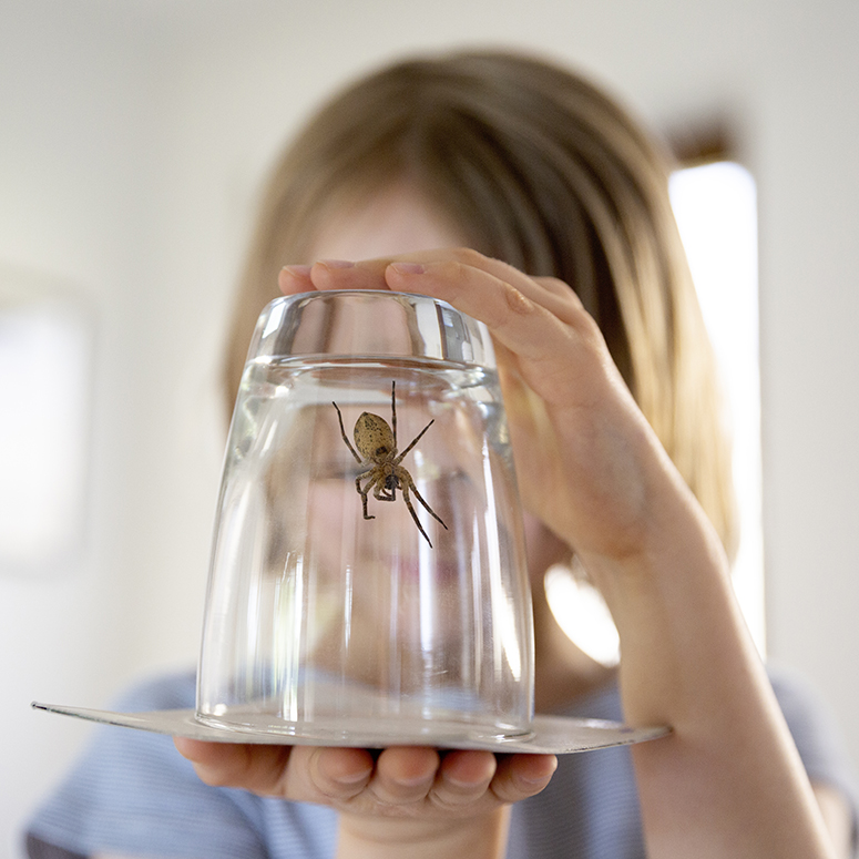 Child holding a large house spider trapped inside a drinking glass in a hallway