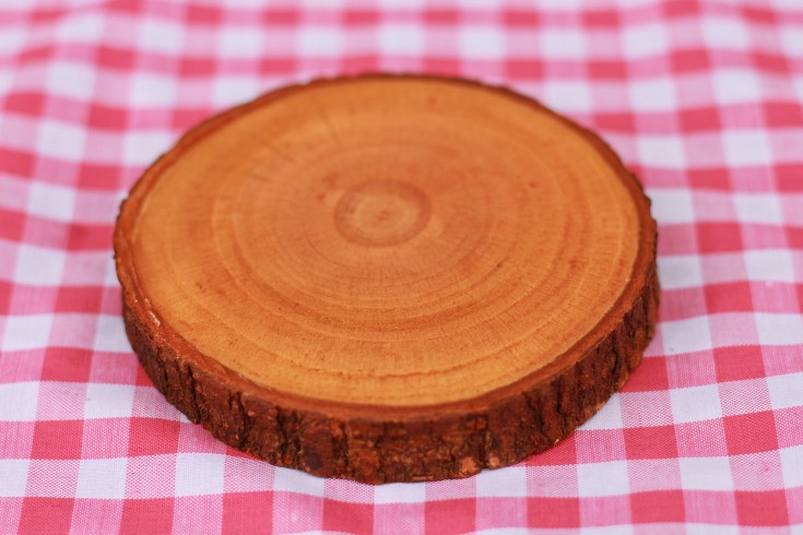 Cross-section of a tree used as a coaster