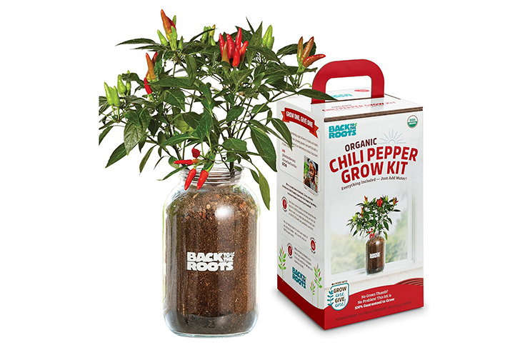 Back to the Roots Non-GMO Chili Planter