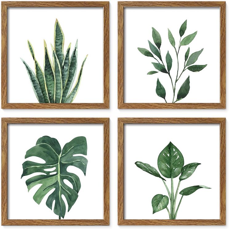 Nature prints in wood frames