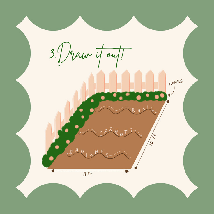 Illustration of step 3 on how to plan a vegetable garden layout