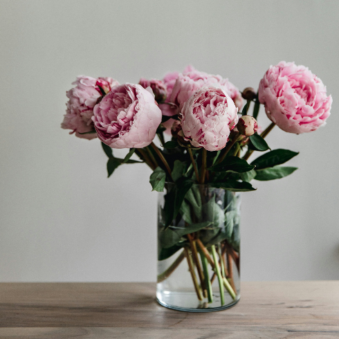 A vase with fresh pink peony flowers