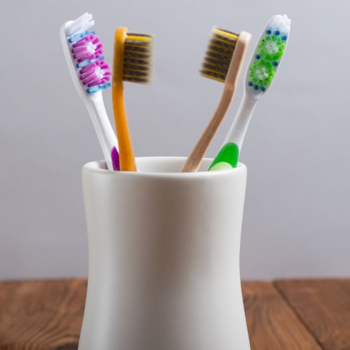 brushes in a toothbrush holder