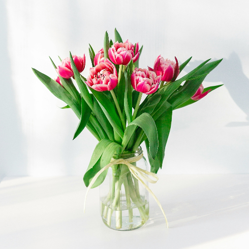 Pink tulips with fresh water in a clear vase