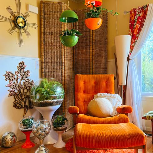 Orange 1970s living room with planters and terrariums