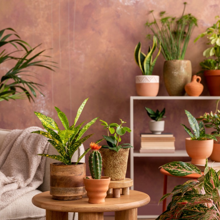 All About Interior Plant Design and How It Can Transform a Space