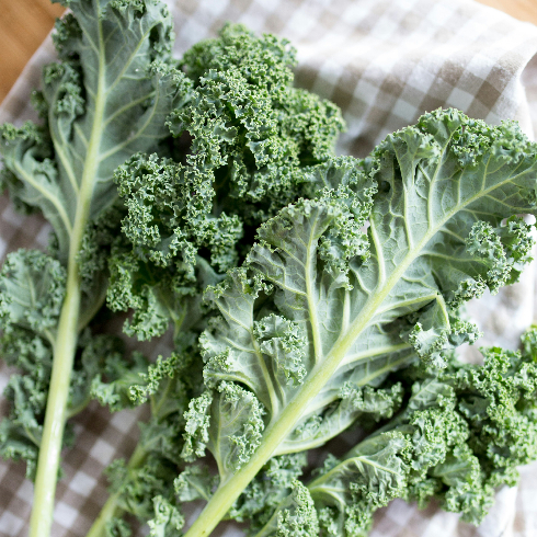 Fresh kale on a kitchen cloth