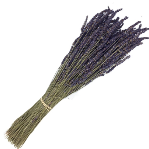 Dried lavender stems